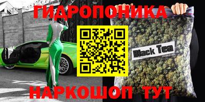 альфа пвп Аргун