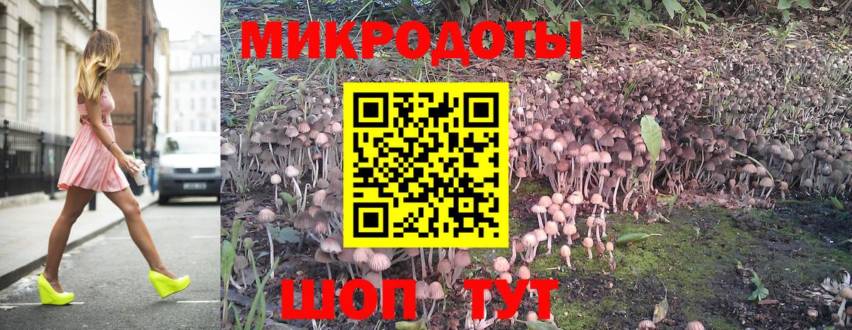 Галлюциногенные грибы Psilocybine cubensis  Галлюциногенные грибы Cubensis  Полевской 