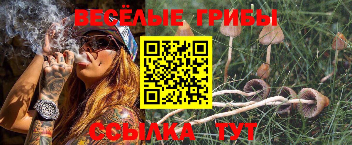 Галлюциногенные грибы MAGIC MUSHROOMS  Вход с VPN  Полевской  Псилоцибиновые грибы Magic Shrooms 