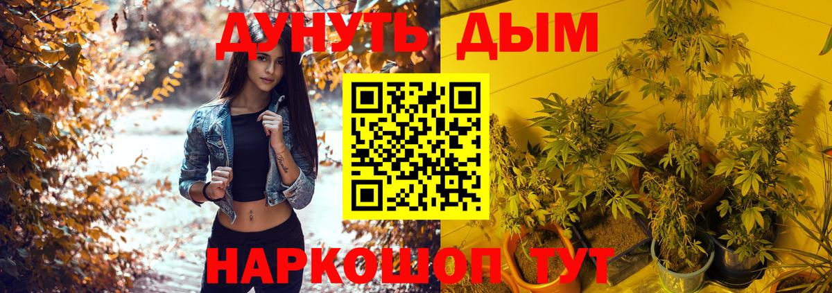 Марихуана Amnesia  Бошки марихуана THC 21%  Полевской  Шишки марихуана Amnesia 